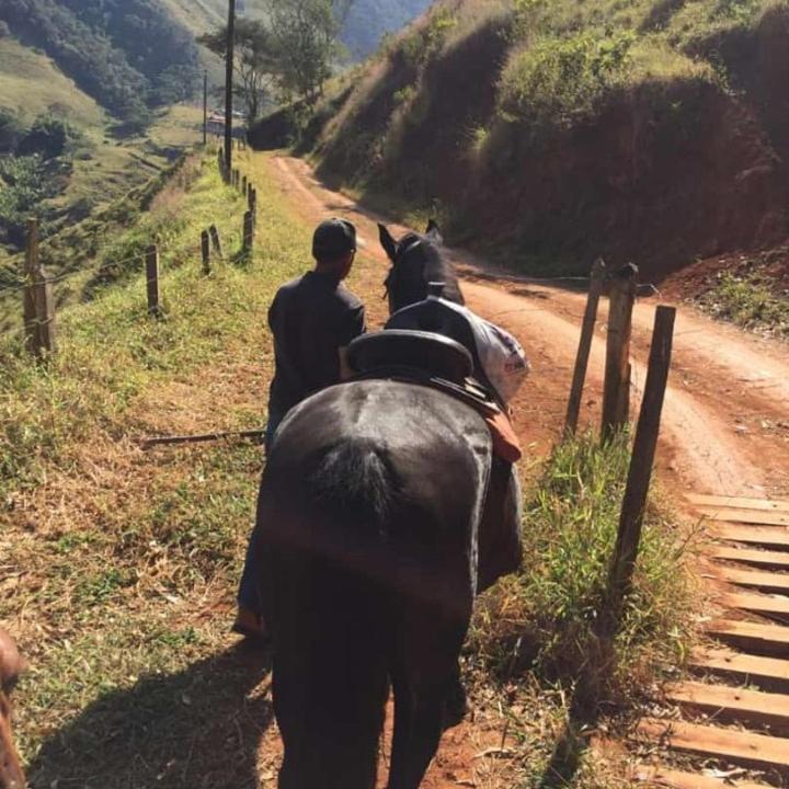 Вилла Refugio Horse Санту-Антониу-ду-Пиньял Экстерьер фото
