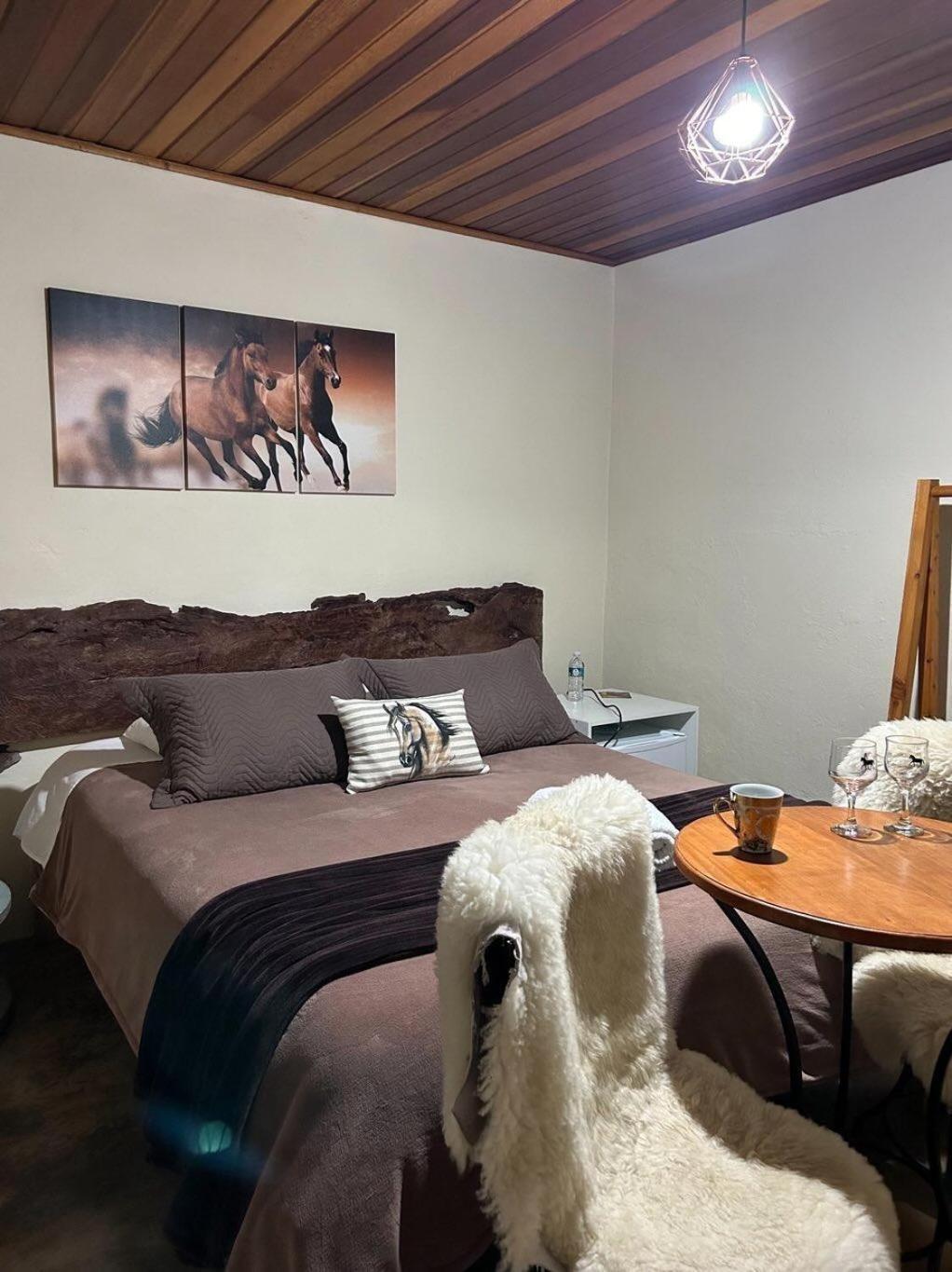 Вилла Refugio Horse Санту-Антониу-ду-Пиньял Номер фото