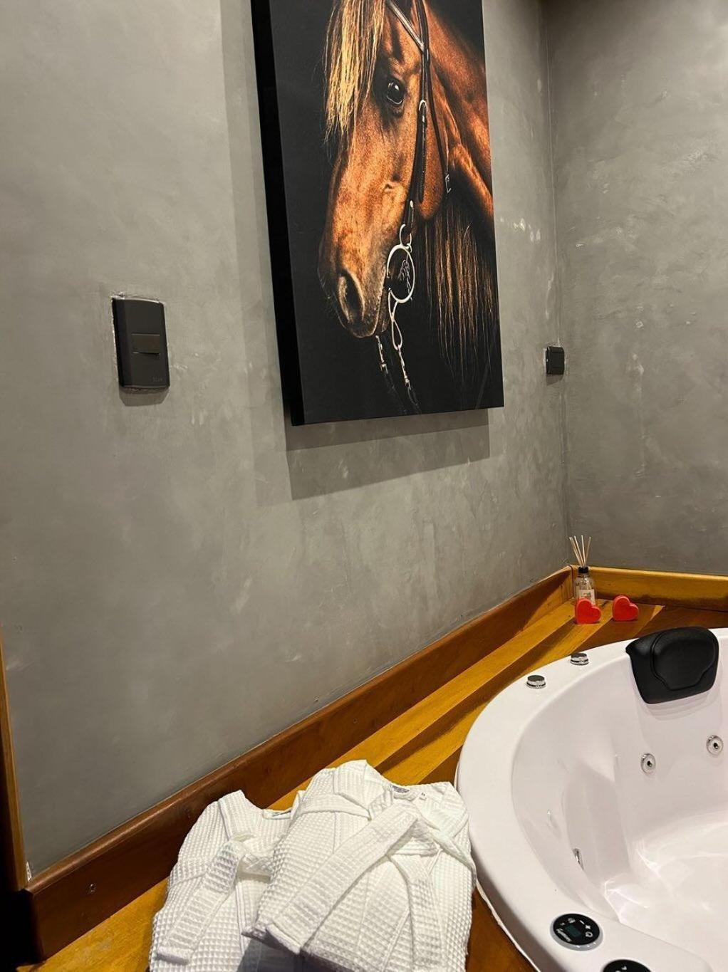 Вилла Refugio Horse Санту-Антониу-ду-Пиньял Номер фото